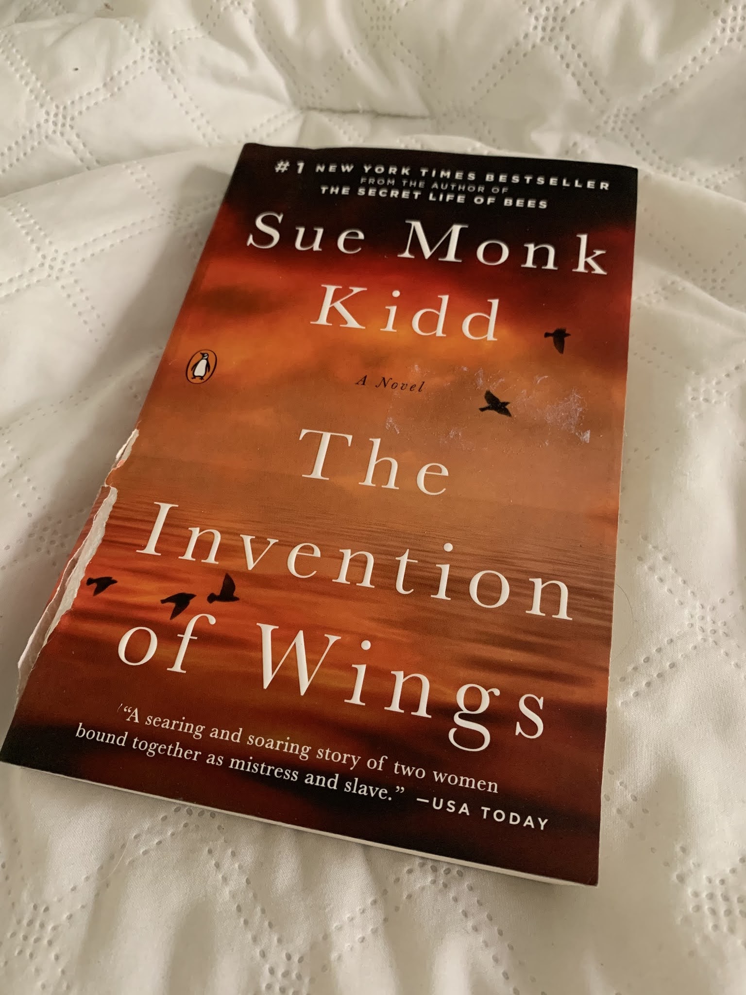 The Secret Victorianist NeoVictorian Voices The Invention of Wings