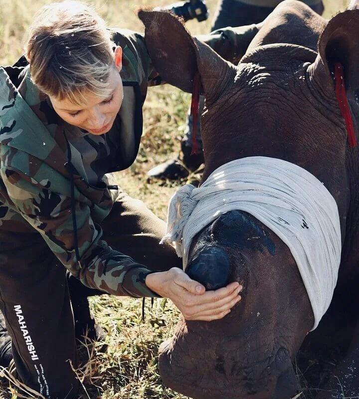 It was a safeguard operation, the rhino's horn is cut to prevent animals from being killed by poachers