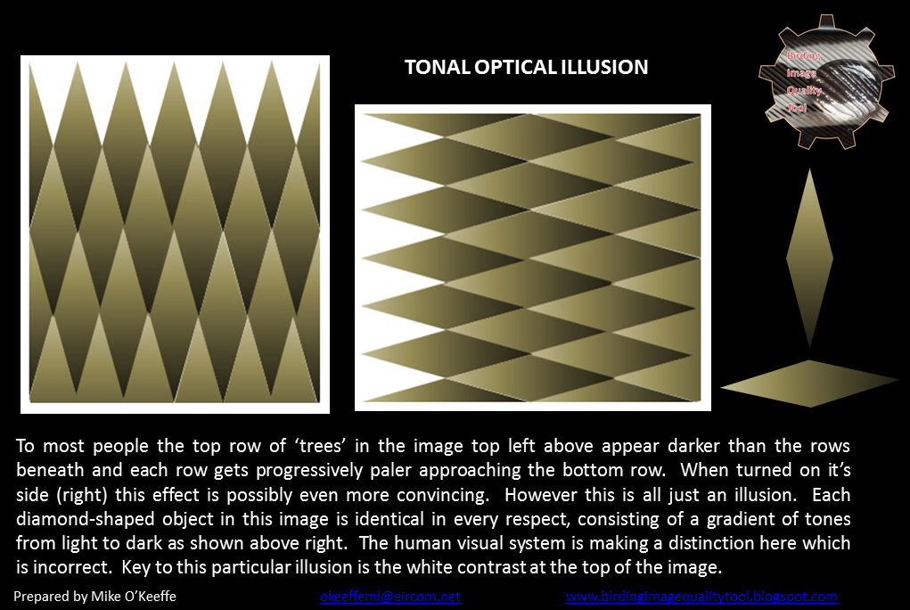 Birding Image Quality Tool: Human Bias - Tonal Gradient Illusions