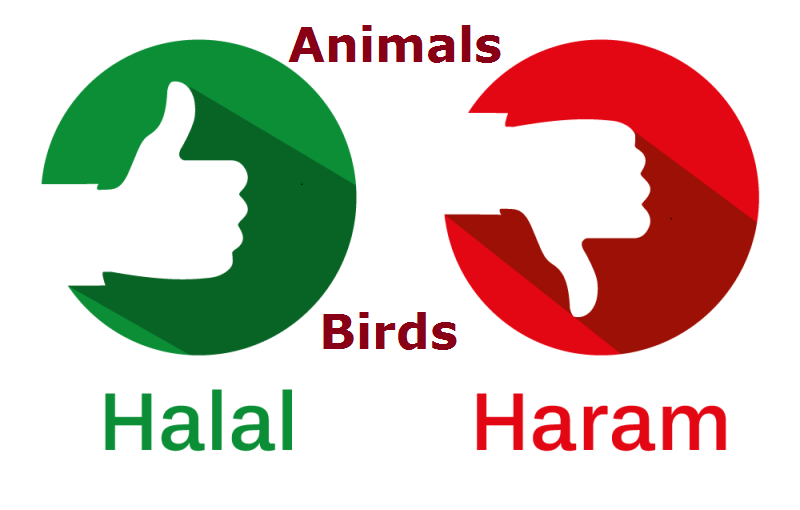 List Of Permitted Halal Prohibited Haram Animals Birds list-of-permitted-halal-prohibited-haram-animals-birds
