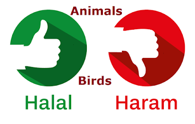 List of Halal Haram Animals Birds