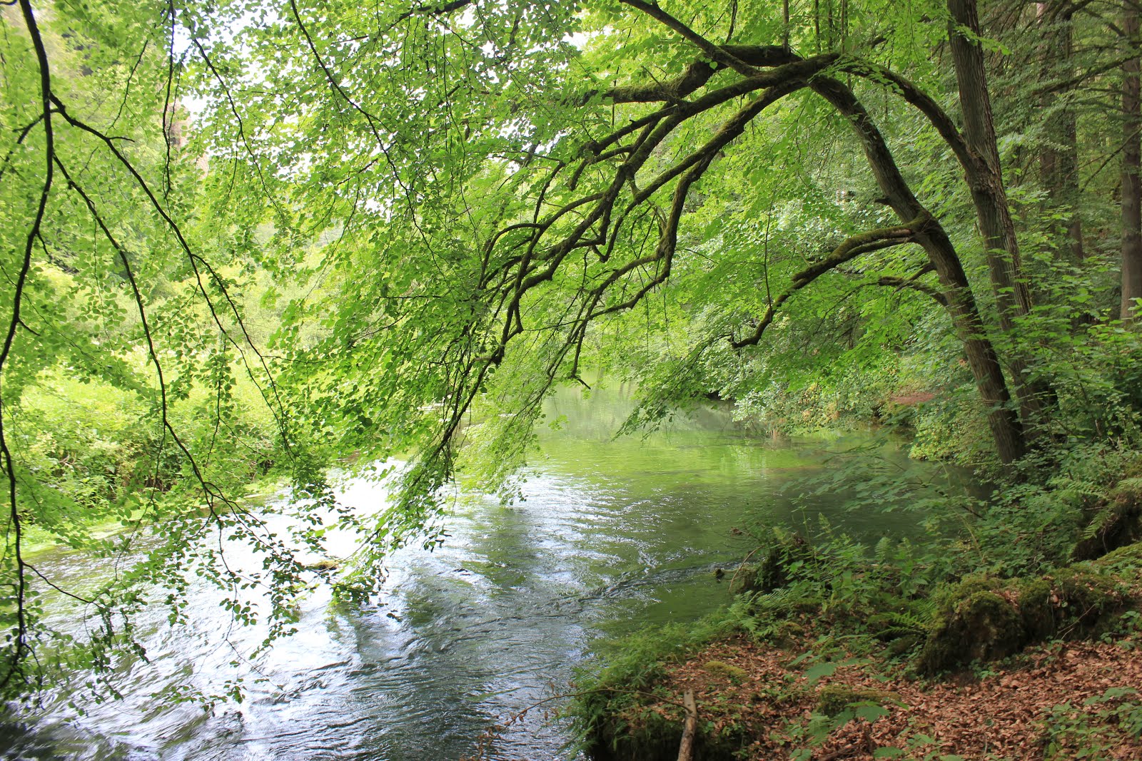 Aaa Sales Management Gmbh Telecommunications It Sales Agency