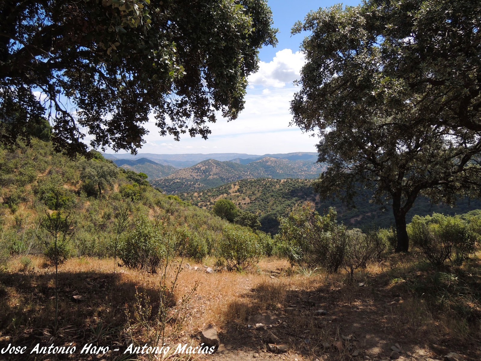 Parque Natural Sierra de Andújar