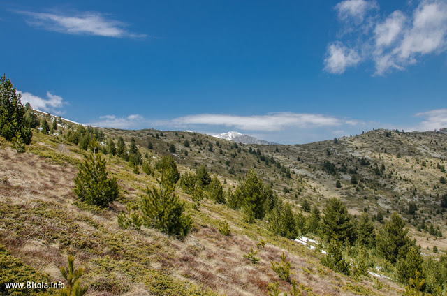 Pelister Panorama - Neolica Hiking Trail, Bitola, Macedonia