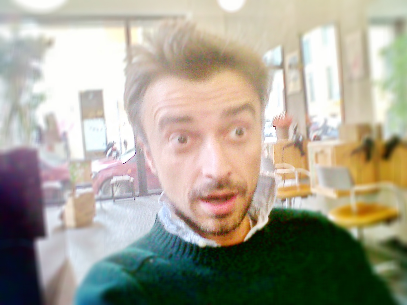 Zebre e Leoni: È meglio vivere un giorno da leone che cent'anni da pecora?!