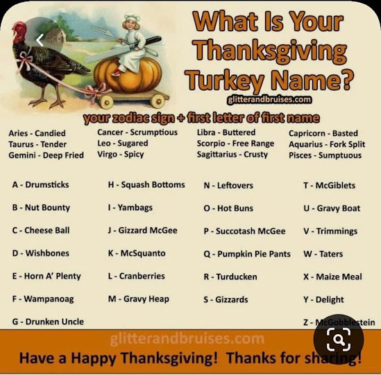 PopQuizfFunPalace What's Your Thanksgiving Turkey Name?