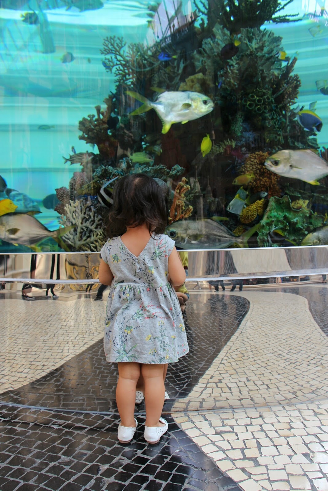 MGM Macau ♥ Pastry Bar 美好甜點午餐 + Grande Praca Cafe 寫意餵魚下午茶 ♥