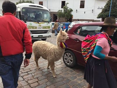 Cuzco. Perú