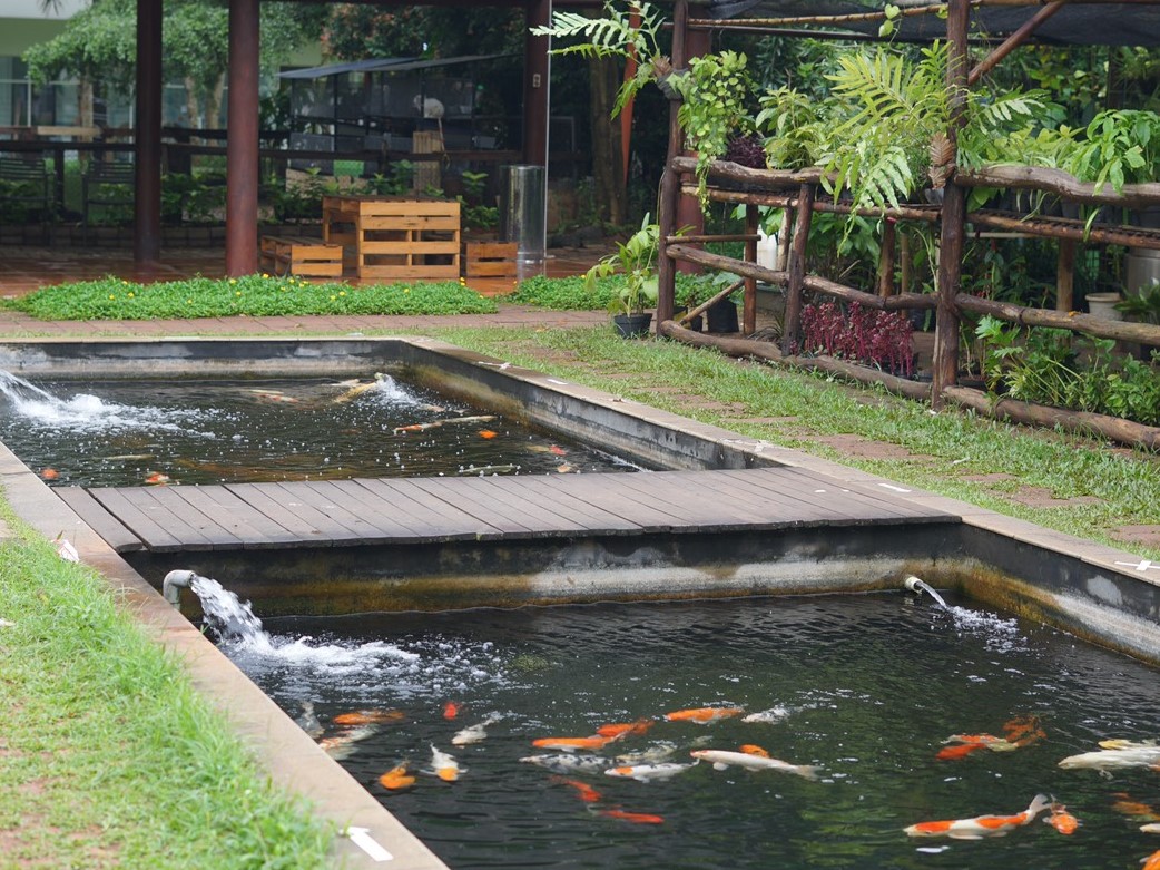 akuchichie bermain ke scientia square park saat pandemi