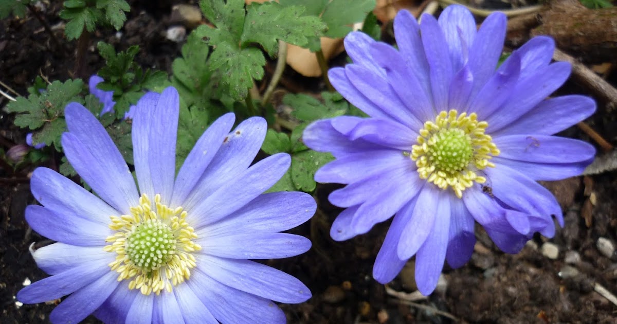 Give 'em the old Razzle Dazzle When I wake up in the morning, love