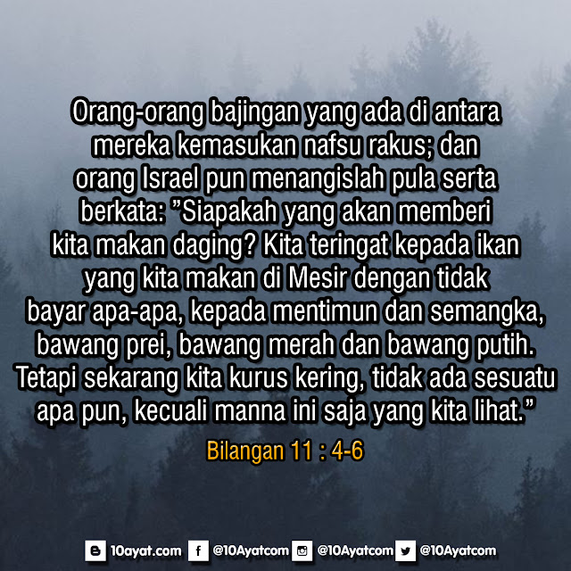Bilangan%2B11%2B %2B4 6