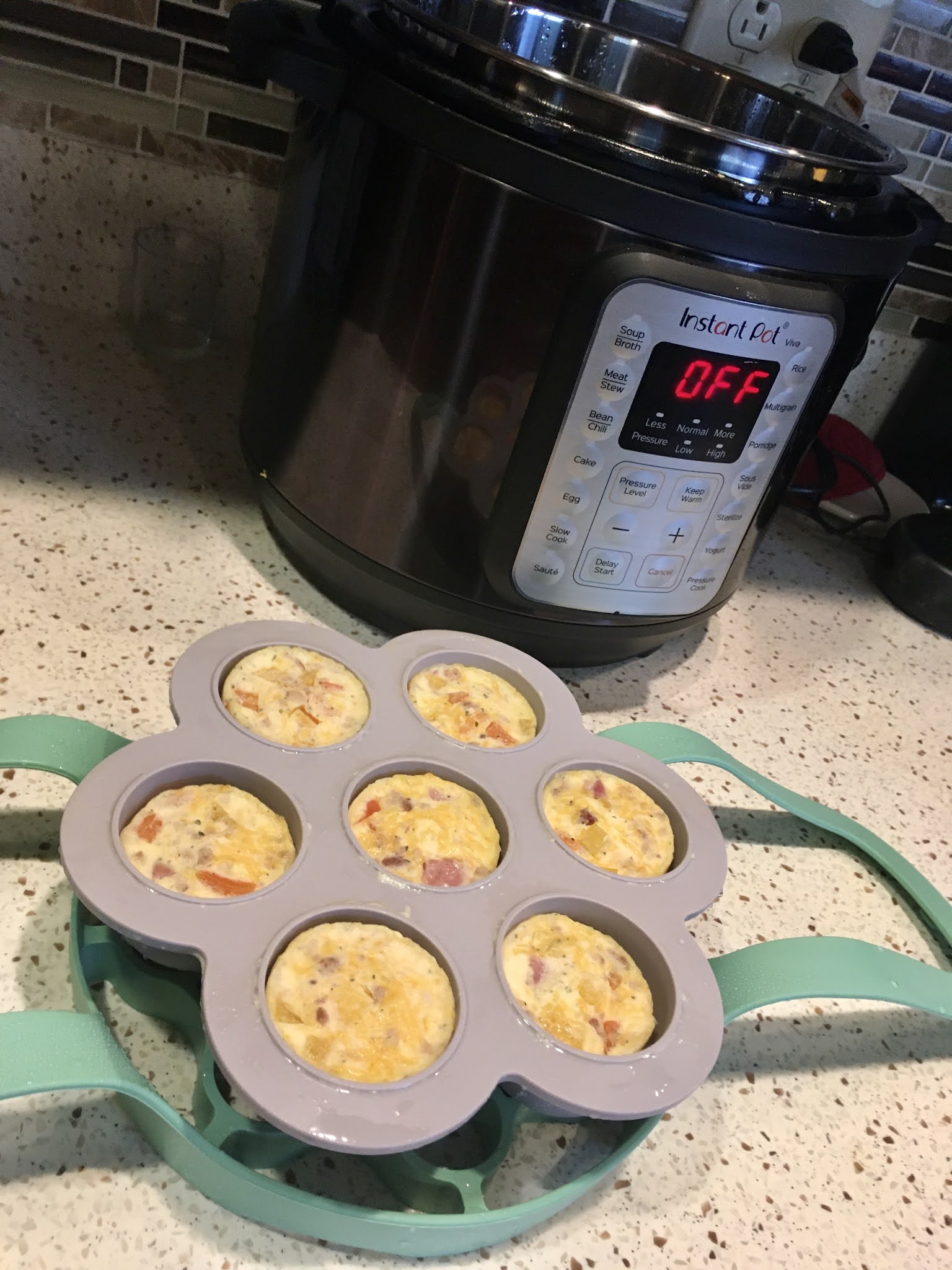 2PC Silicone Egg Bite Molds & Baking Sling