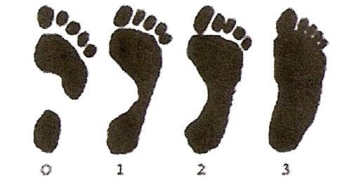 adsintx Brooks Running Shoe Chart. adsintx Brooks Running Shoe Chart.