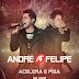 DVD: André e Felipe - Acelera e Pisa (Ao Vivo)