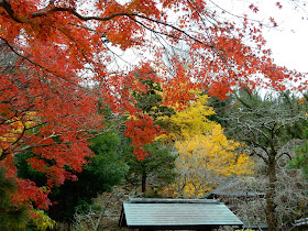 ��q���̍g�t