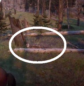 How to find all the treasures of the Black bone forest in RDR Online