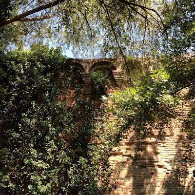 Mura di Siena