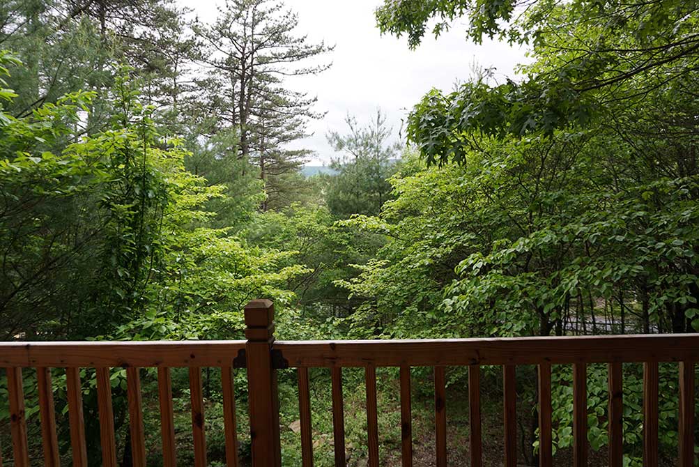 The View from Squirrel Ridge Views at Bryce Resort