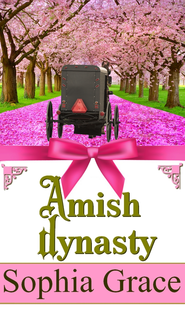 Amish Fiction Books New Release Amish Books
