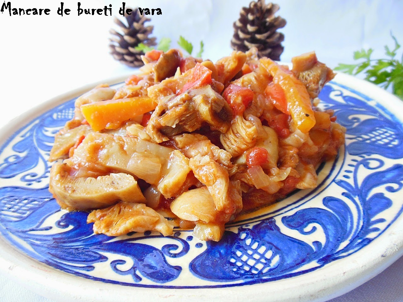 Mancare de bureti de vara