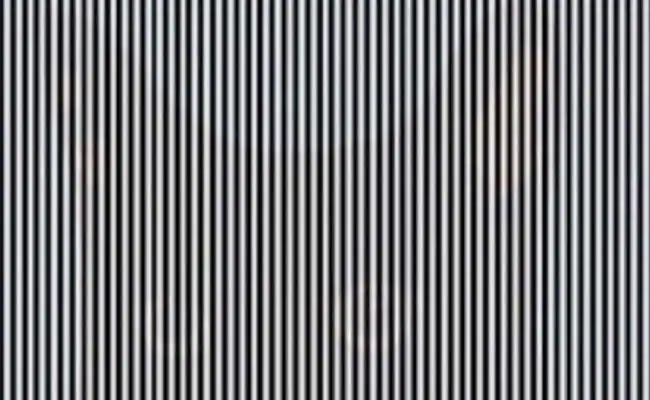 How To Spot Hidden Object From Optical Illusion Picture