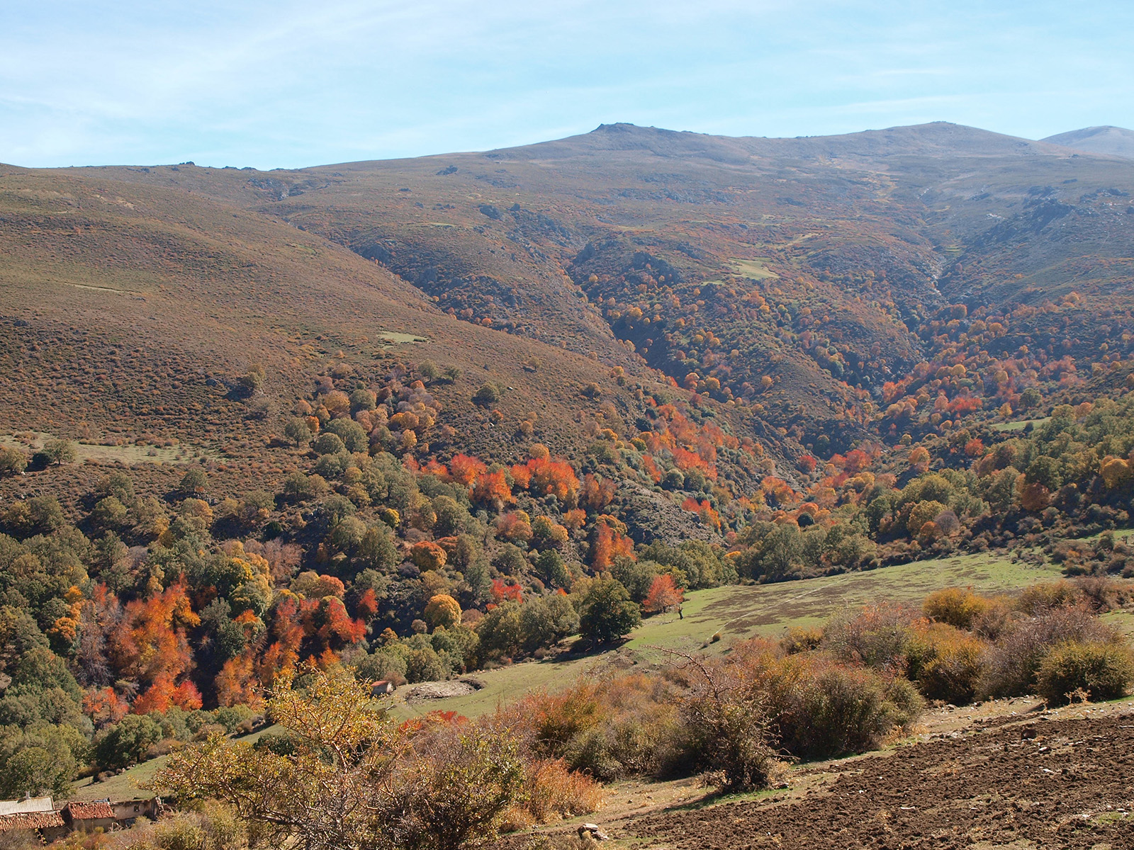 Caminando por Sierras y Calles de Andalucía El Bosque encantado (Lugros Sierra Nevada Granada)