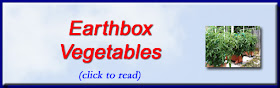 http://mindbodythoughts.blogspot.com/2012/04/earthbox-vegetables-are-best.html