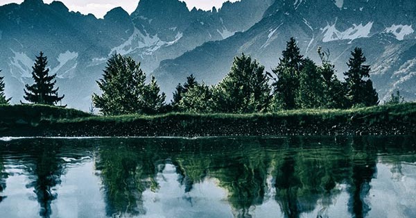 Reflections Wallpaper Engine