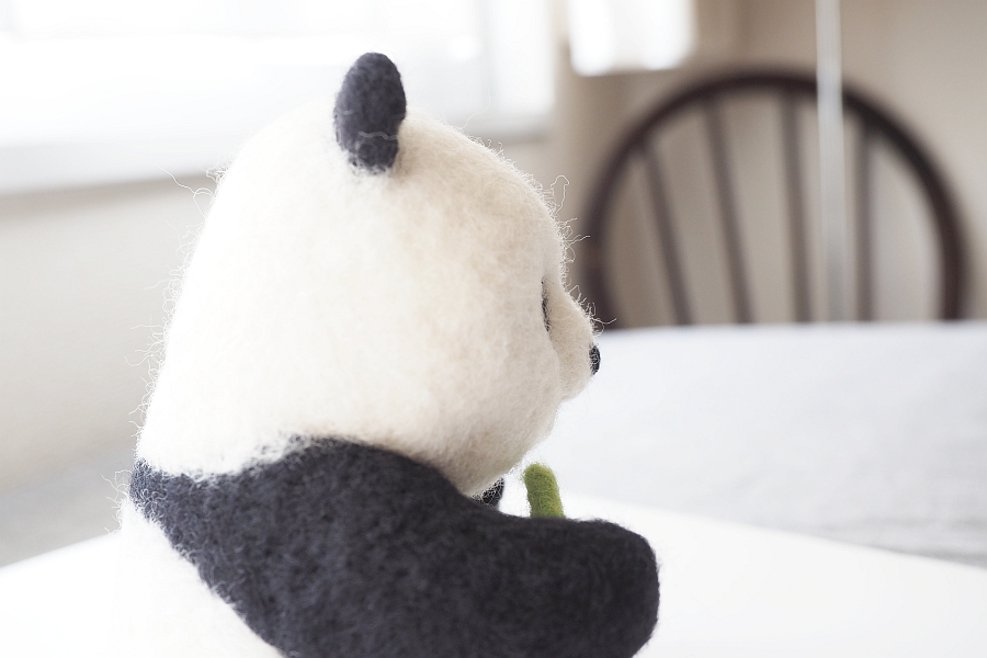 Me (SleepySheep blog): パンダはくまに入るのか
