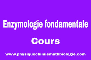 Cours de Enzymologie fondamentale PDF
