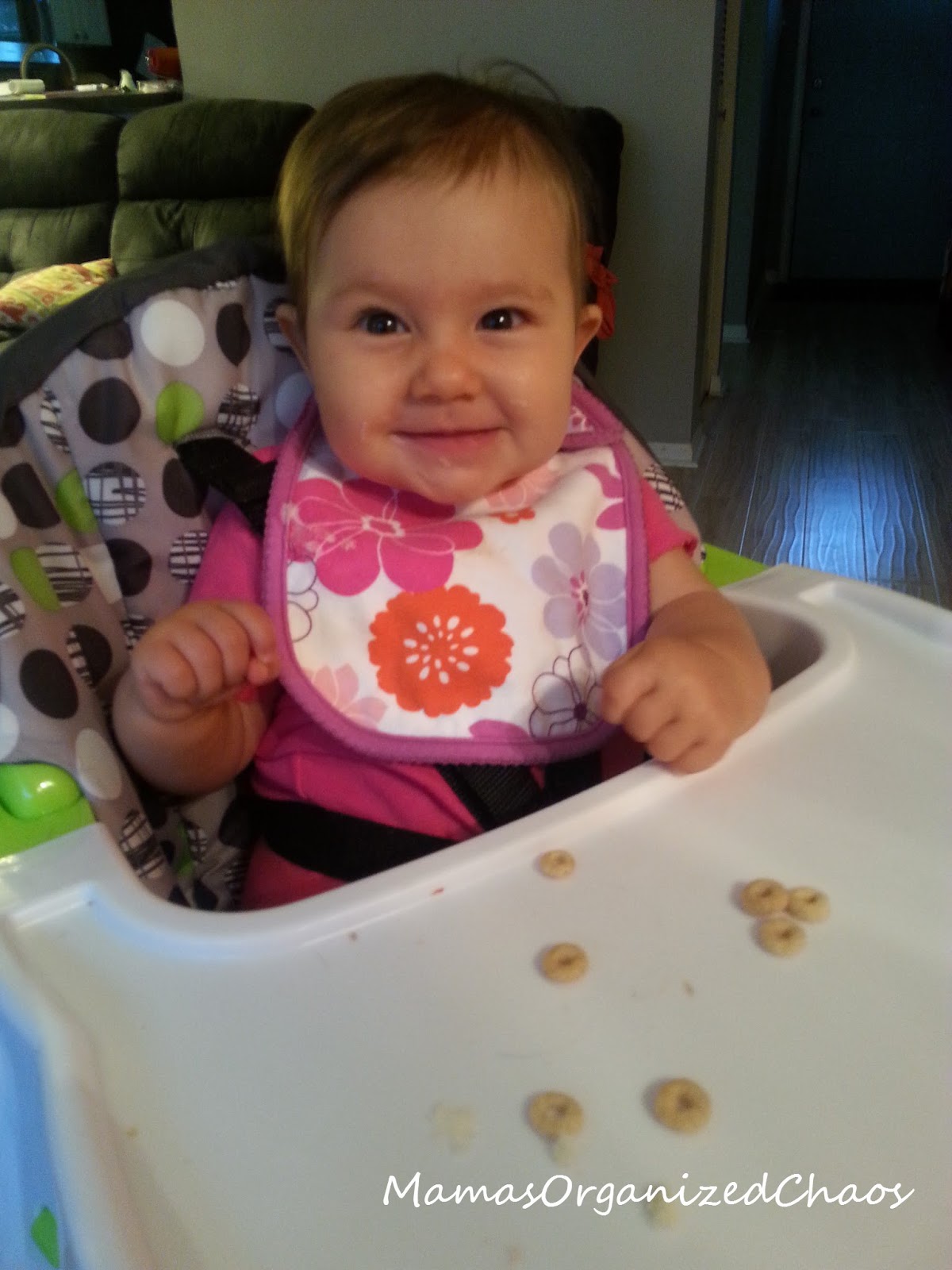 MONTH 6 SCHEDULE MONTH 6 SCHEDULE