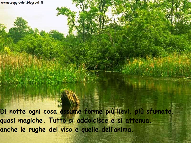 Frasi Buonanotte Per Whatsapp Messaggi Dolci