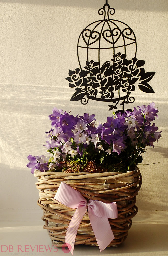 Win a £40 Voucher with Serenata Flowers DB Reviews UK Lifestyle Blog