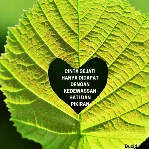 Kumpulan Kata Kata Cinta Sejati Di Dalam Sebuah Hubungan