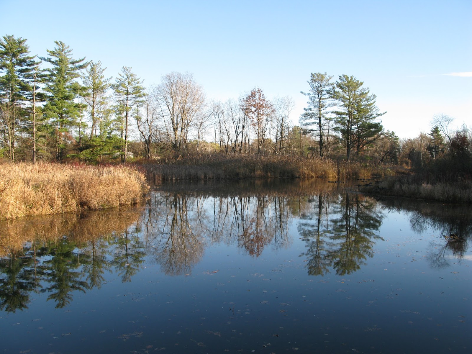 meo my crochet Dorchester Mill Pond