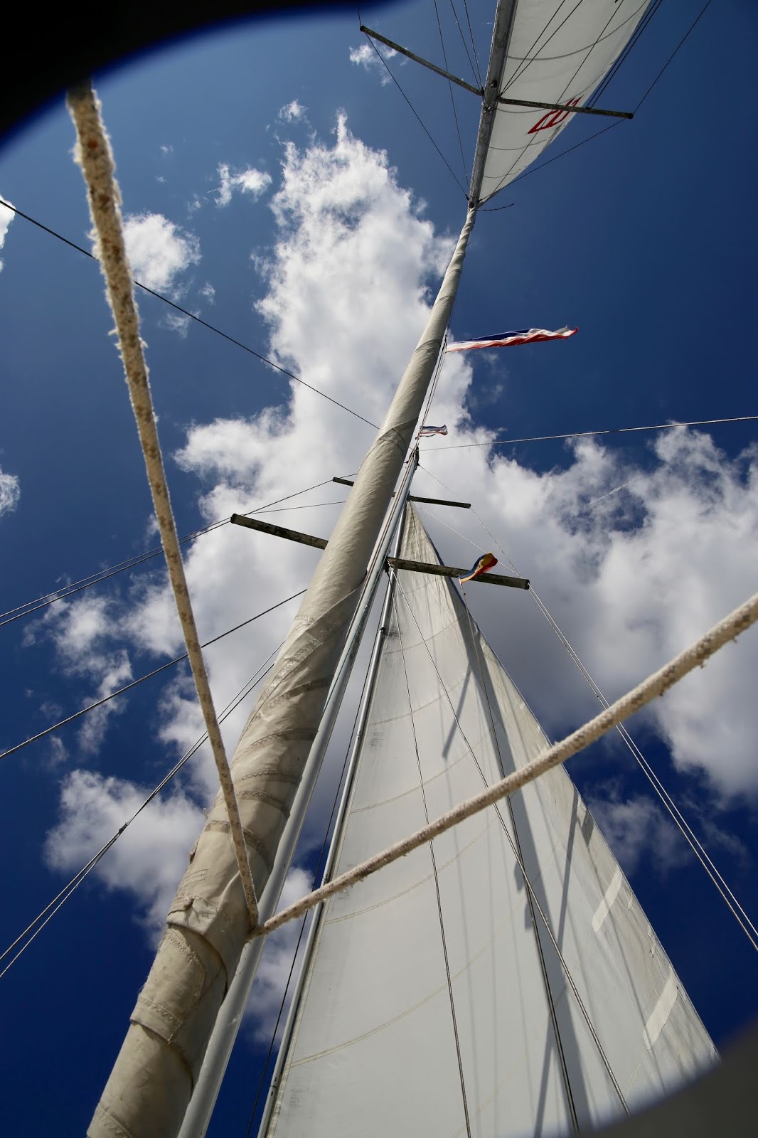 Batalla Del Nilo Fleet Of Ships Battle Of The Nile Sailing Ships