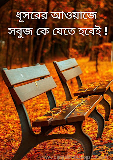 jibon-niye-kobita-bengali-poem-on-life