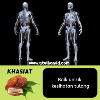 KHASIAT BUAH KURMA