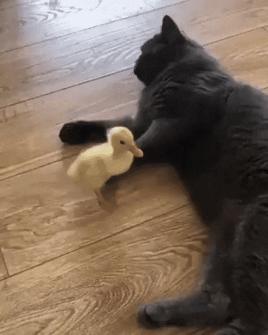 daily_gifdump_3309_02.gif