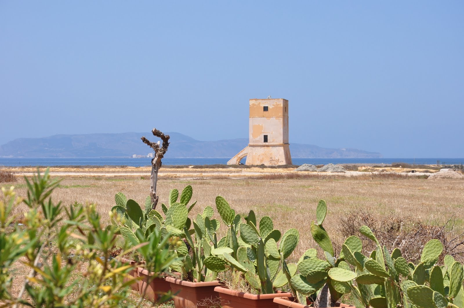 Andrea Vannini Rappresentanze: Firriato -Dalla Sicilia i Vini dell