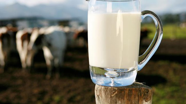 Tak Ingin Kulit Berjerawat, 4 Asupan ini Dipercaya Bisa Mencegahnya Tak Ingin Kulit Berjerawat, 4 Asupan ini Dipercaya Bisa Mencegahnya