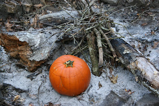 pumpkin soup | The Not so Modern Housewife