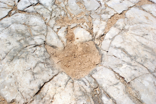 pegadas de dinossauro