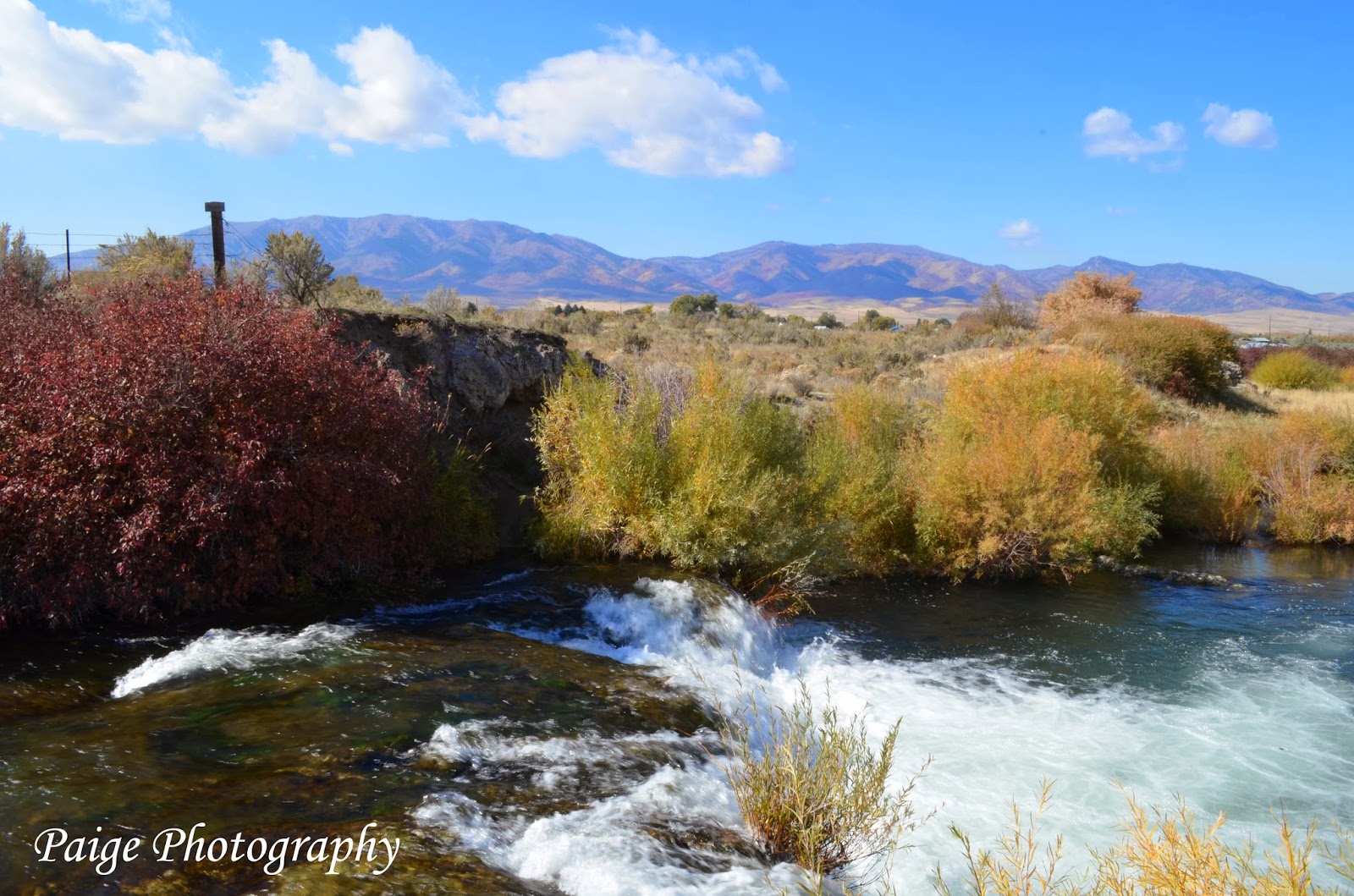 Paige Photography Landscape