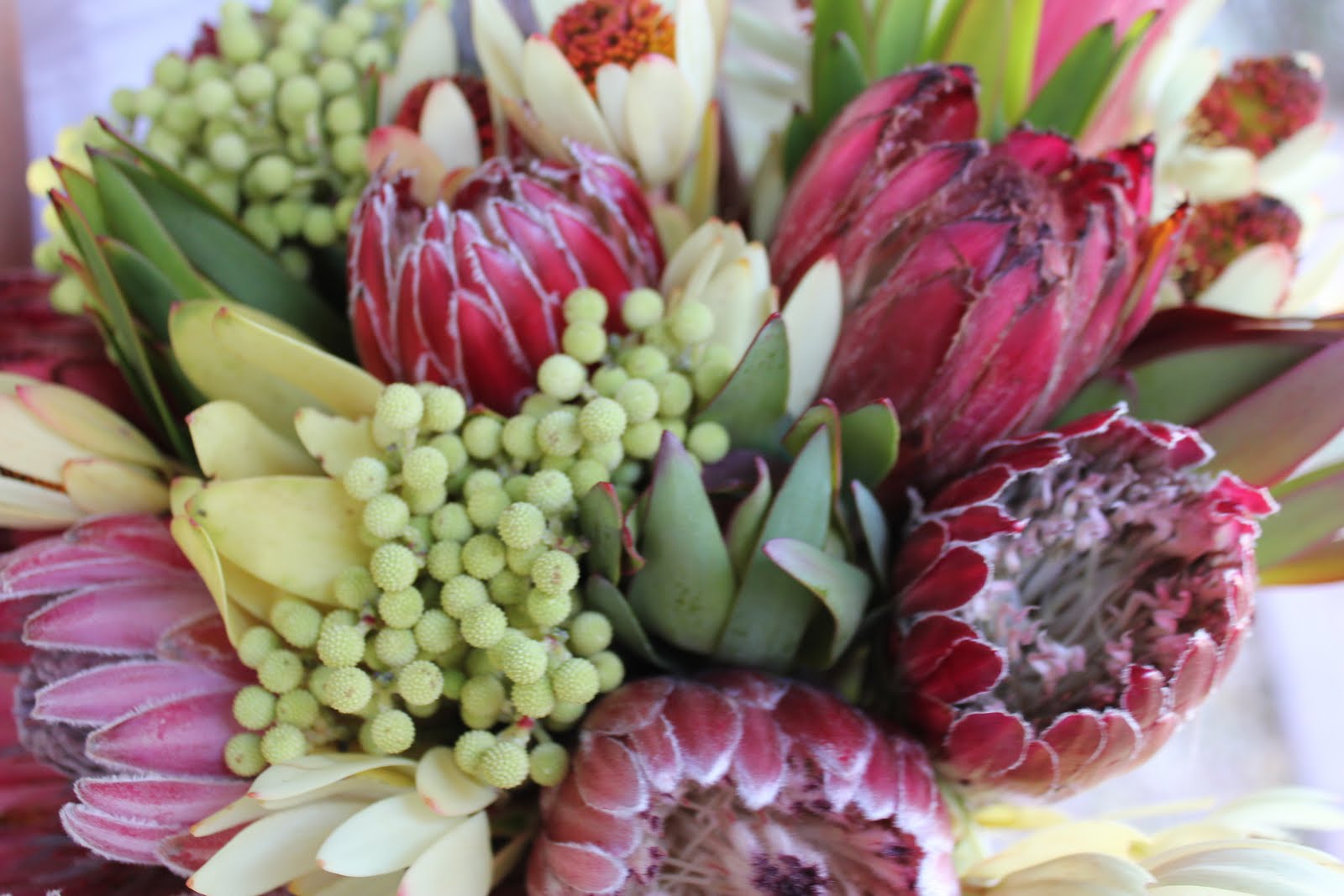Bloomingmill {Protea Bridal Bouquet}