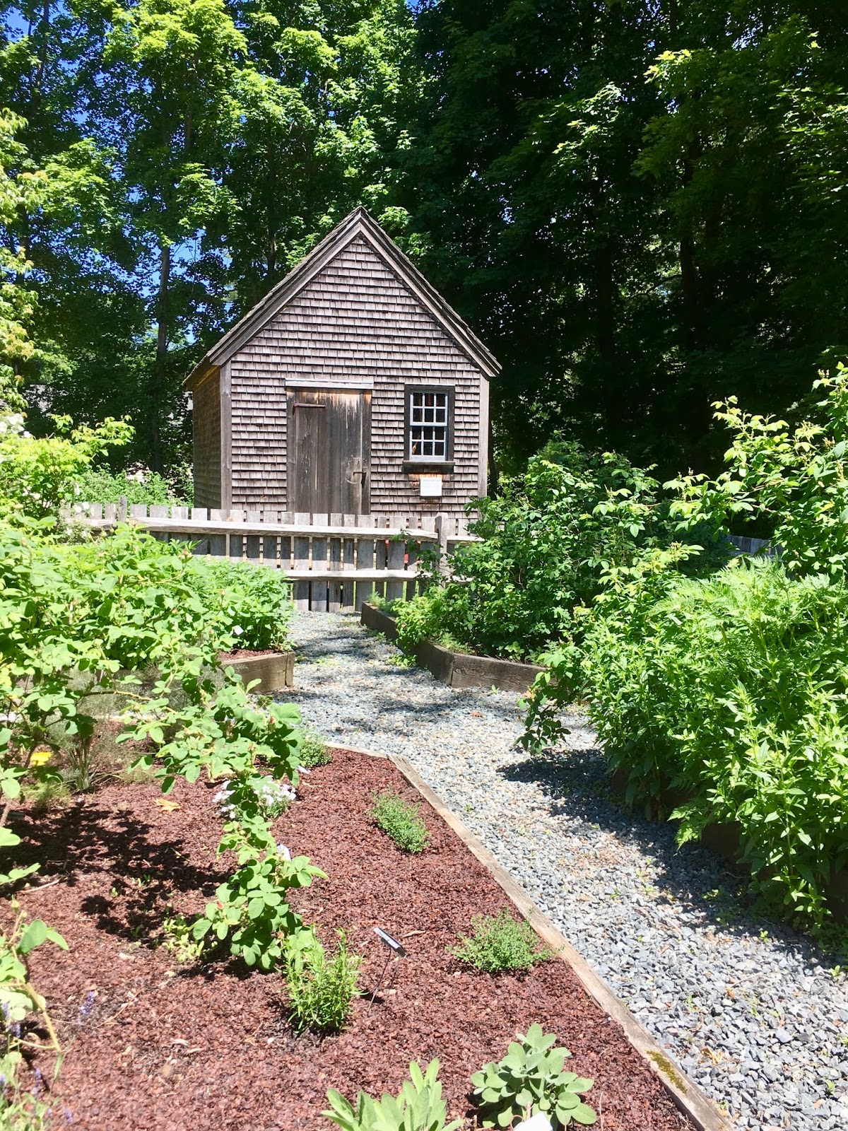 20 Years From Now Topsfield Ma Strawberry Festival