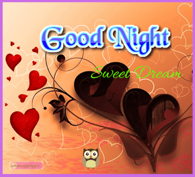 good-night-shayari-with-photo good-night-images-for-whatsapp-hd