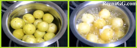 Amla Candy Recipe in Hindi step 1