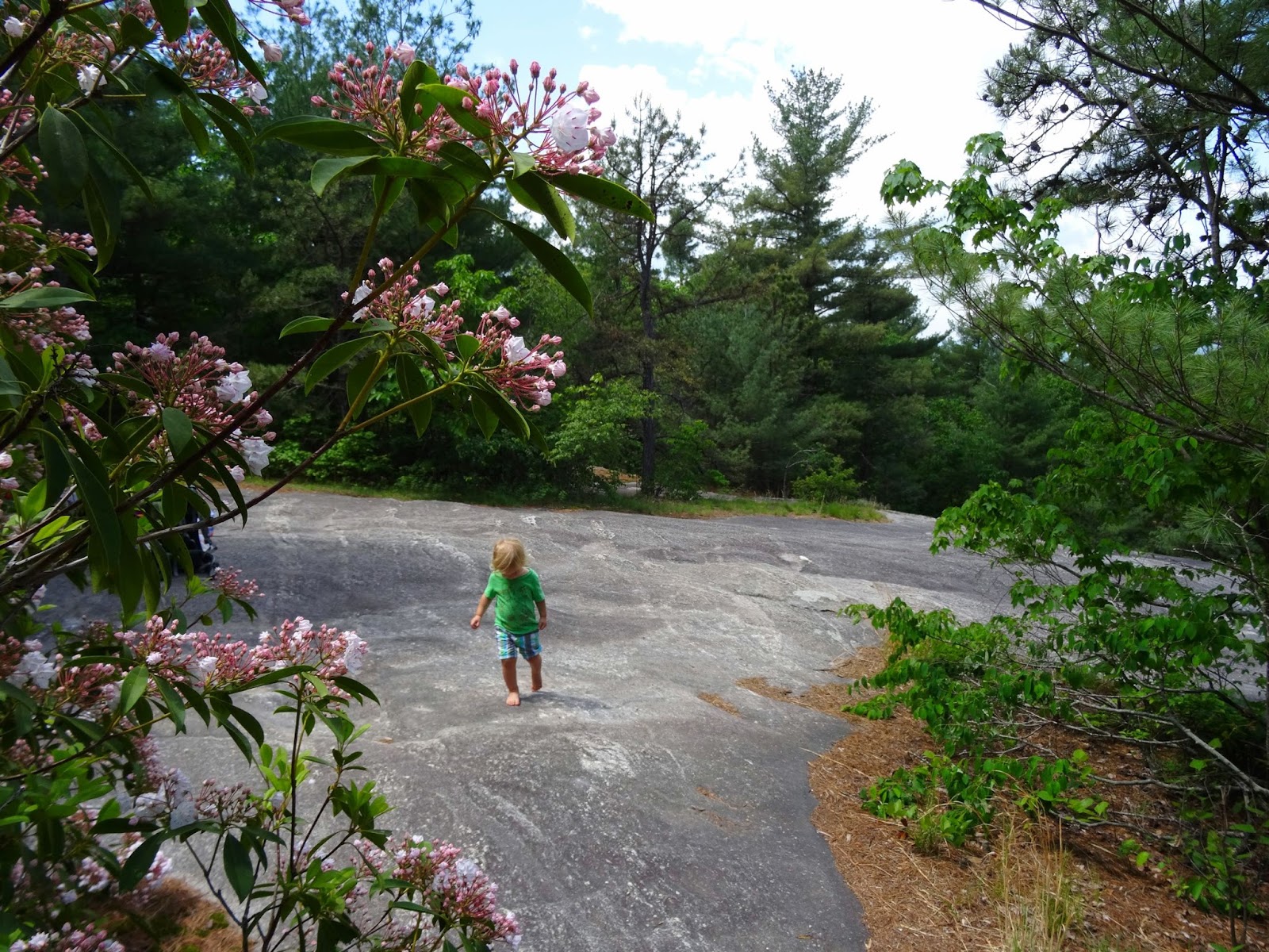 Femme au foyer A hike up Glassy Mountain
