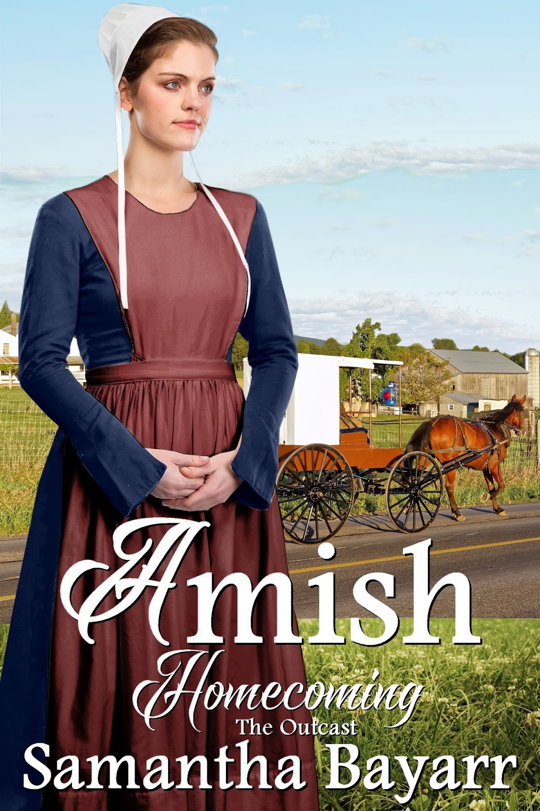 Amish Books Amish Outcast